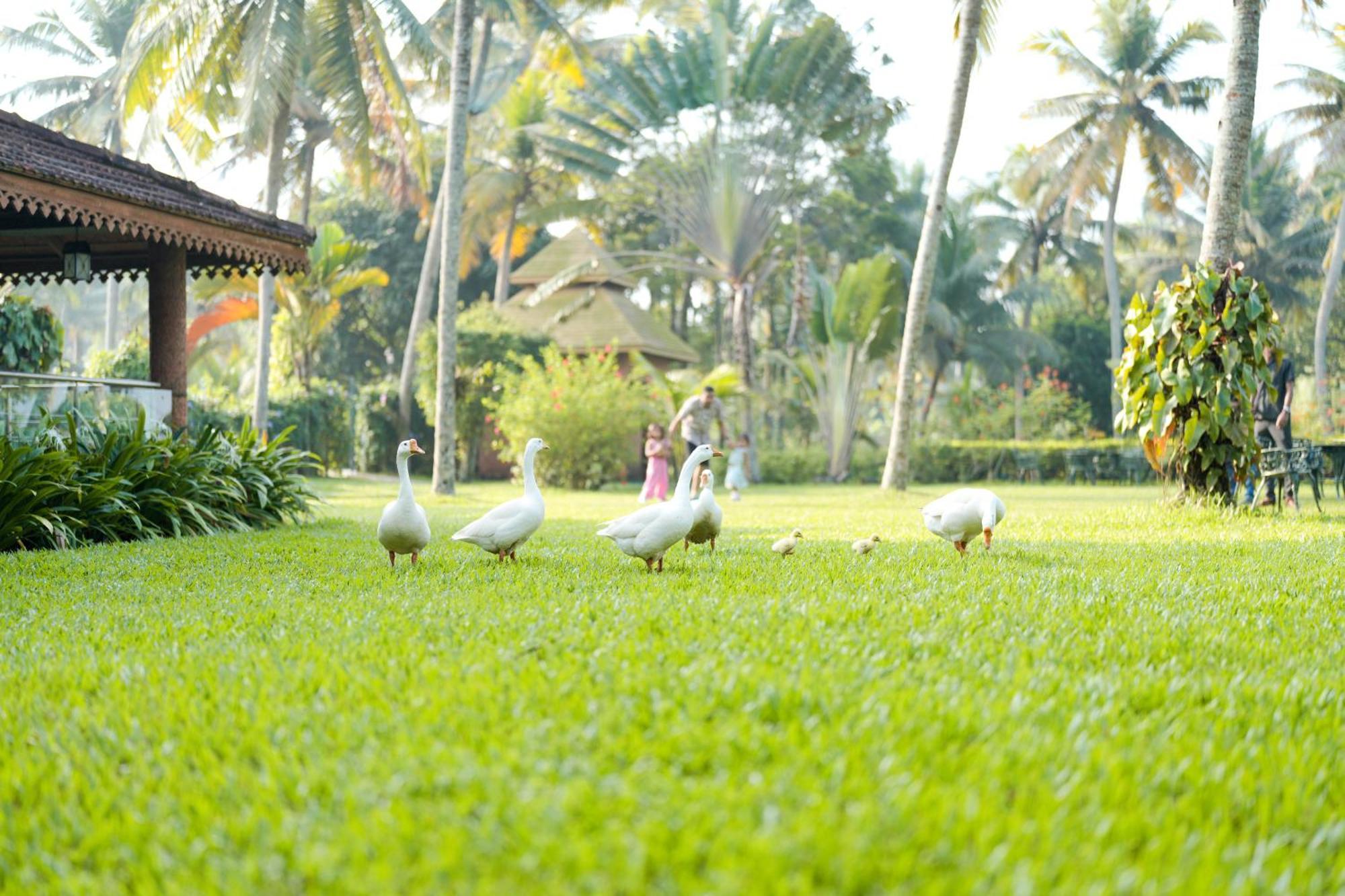 Lakesong Resort Kumarakom Exteriör bild